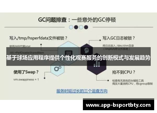 基于球场应用程序提供个性化观赛服务的创新模式与发展趋势