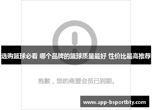 选购篮球必看 哪个品牌的篮球质量最好 性价比最高推荐