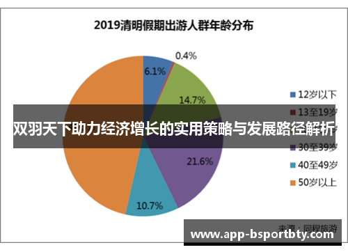 双羽天下助力经济增长的实用策略与发展路径解析