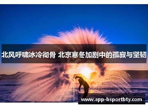 北风呼啸冰冷彻骨 北京寒冬加剧中的孤寂与坚韧
