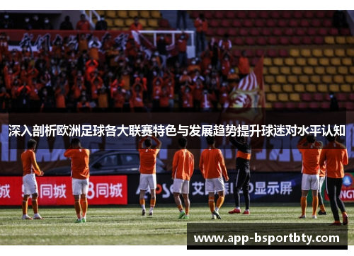 深入剖析欧洲足球各大联赛特色与发展趋势提升球迷对水平认知