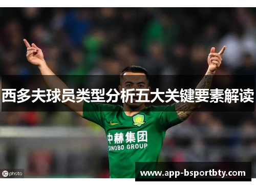 西多夫球员类型分析五大关键要素解读 西多夫球员类型分析五大关键要素解读