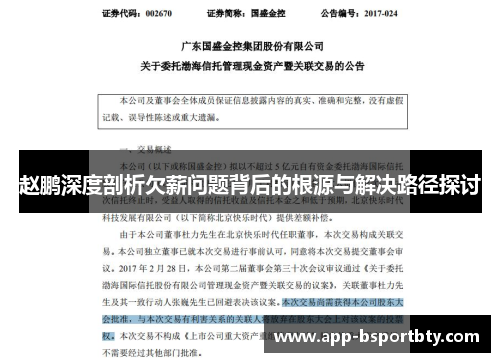 赵鹏深度剖析欠薪问题背后的根源与解决路径探讨 赵鹏深度剖析欠薪问题背后的根源与解决路径探讨