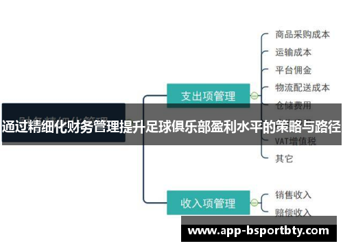 通过精细化财务管理提升足球俱乐部盈利水平的策略与路径