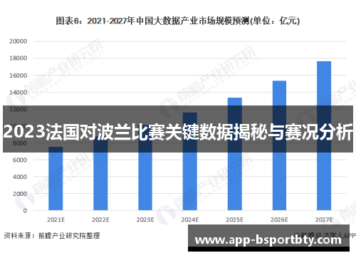 2023法国对波兰比赛关键数据揭秘与赛况分析