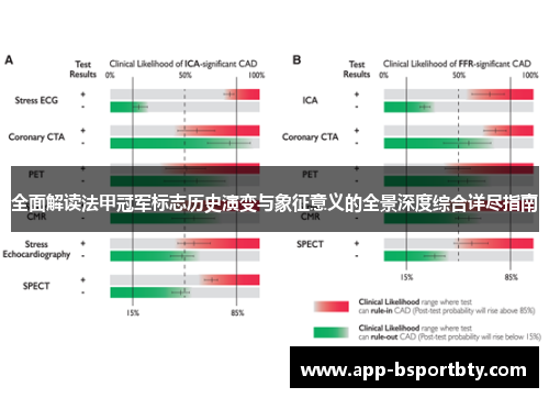 全面解读法甲冠军标志历史演变与象征意义的全景深度综合详尽指南