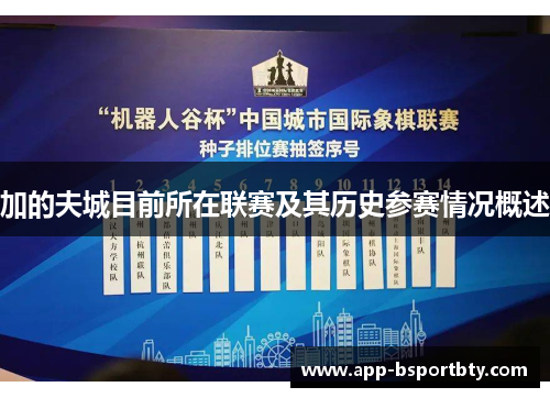 加的夫城目前所在联赛及其历史参赛情况概述