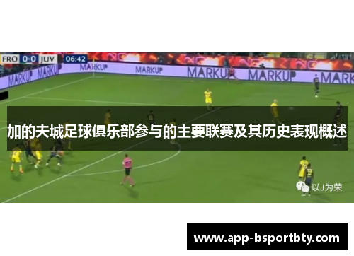 加的夫城足球俱乐部参与的主要联赛及其历史表现概述