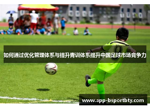 如何通过优化管理体系与提升青训体系提升中国足球市场竞争力
